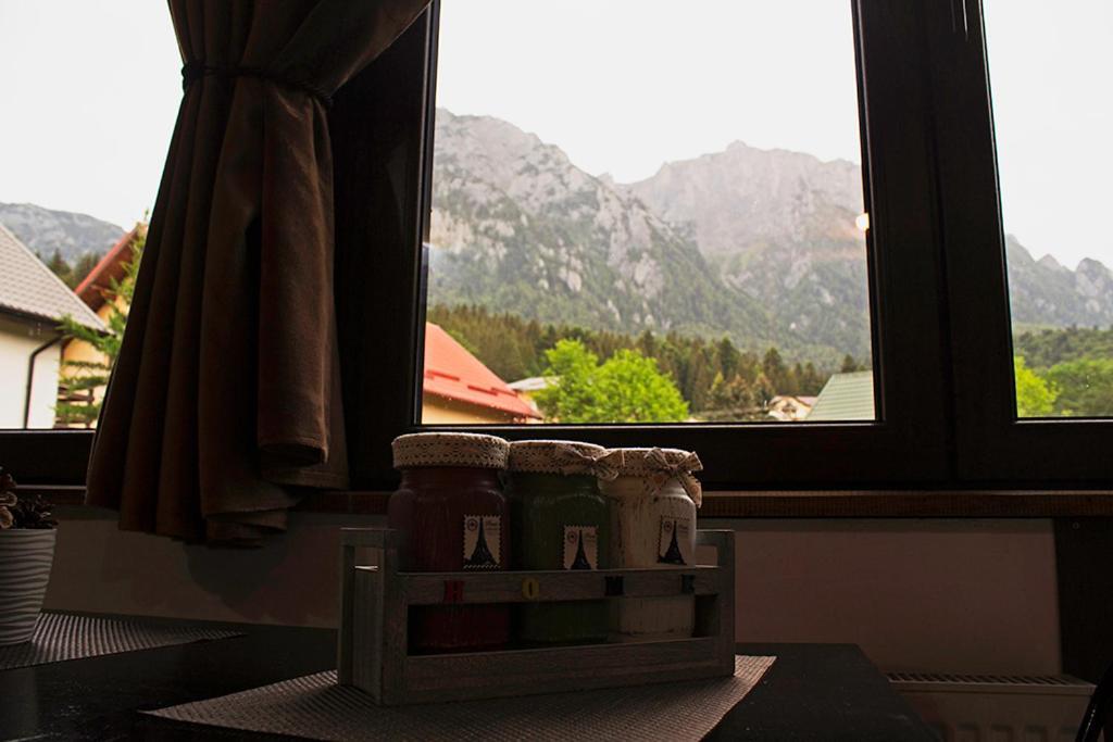 Apartament Mountain Life Buşteni Extérieur photo