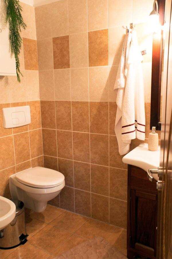 Apartament Mountain Life Buşteni Extérieur photo