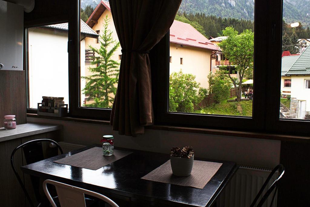 Apartament Mountain Life Buşteni Extérieur photo